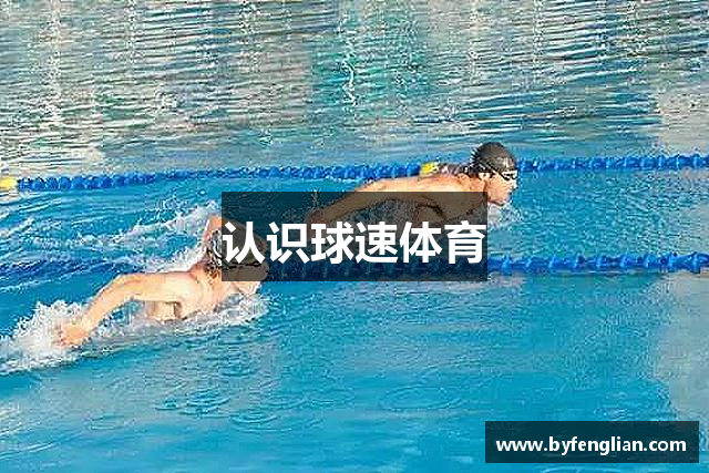 认识球速体育